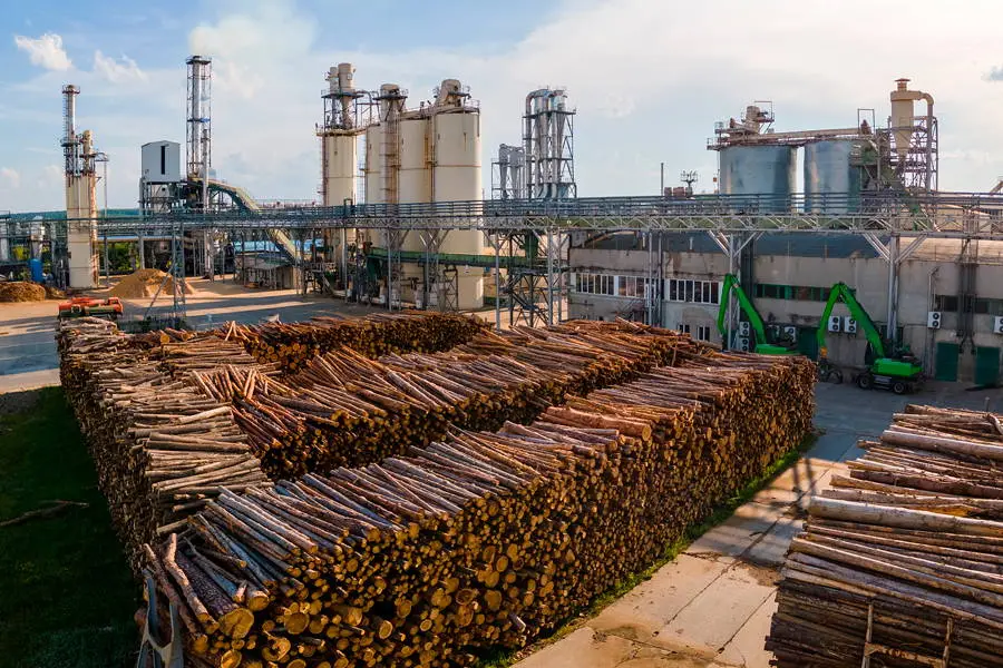 Wood Processing - Market Sectors | Kingfisher Industrial